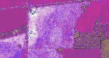 spatial-representation-map-bcg-COALA-project